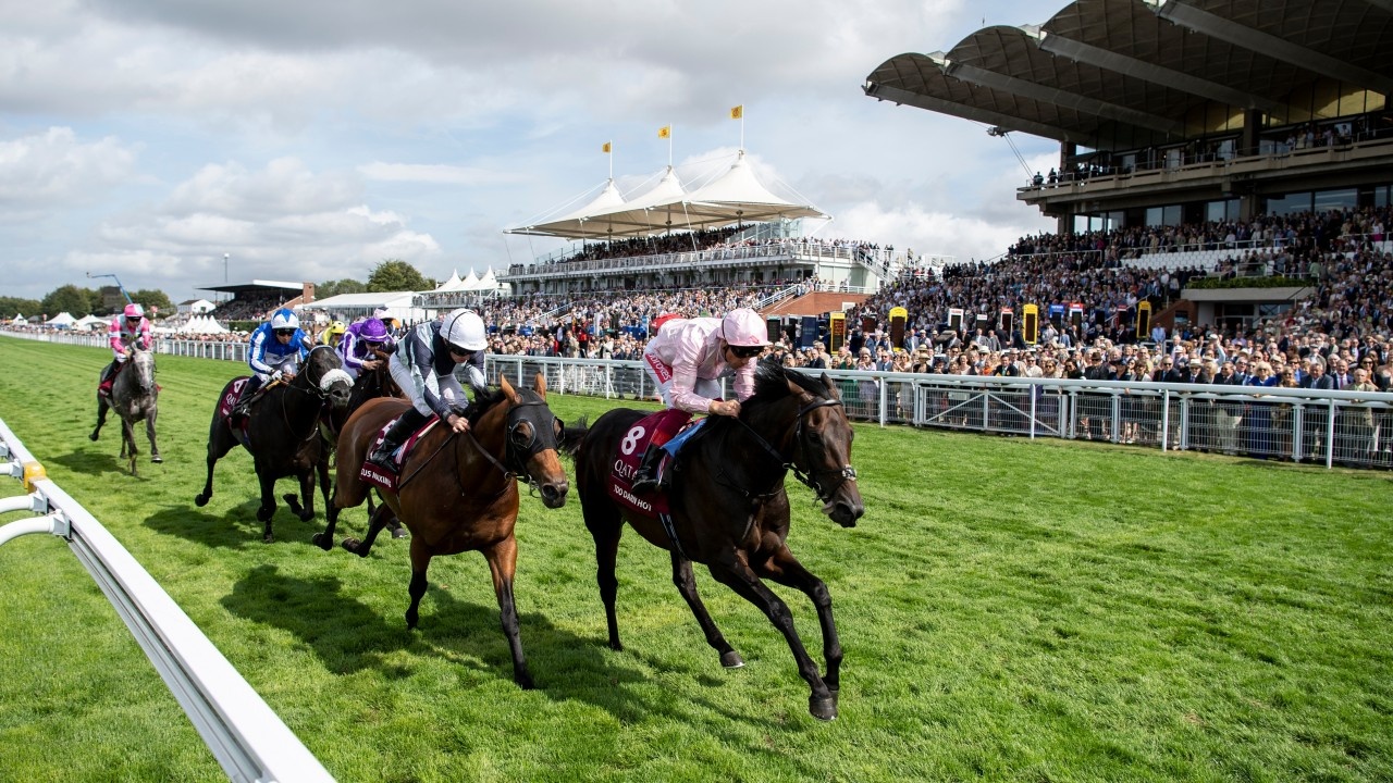 Qatar Sussex Stakes returns to £1m mark as Goodwood pledges ... Image 1